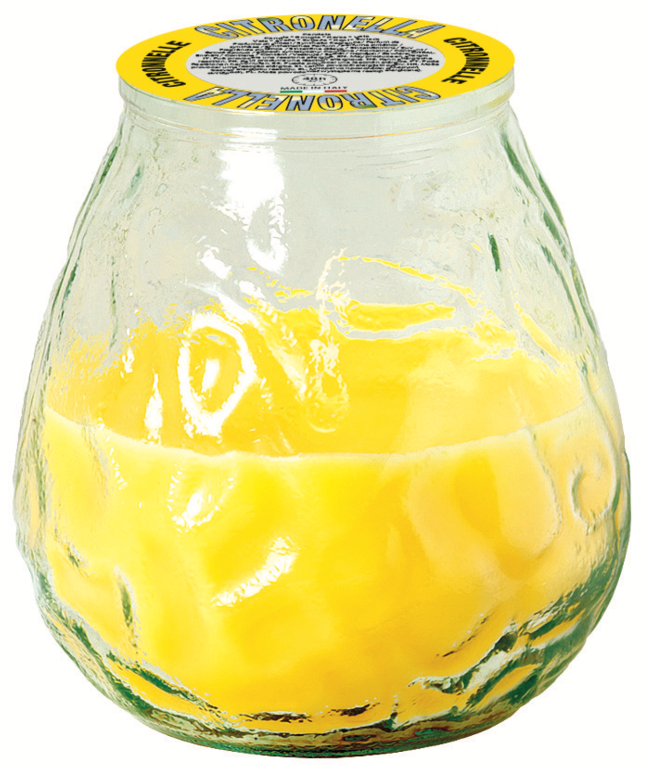 https://www.accesstoretail.com/uploads/partimages/229395_20260529113831_1024.png