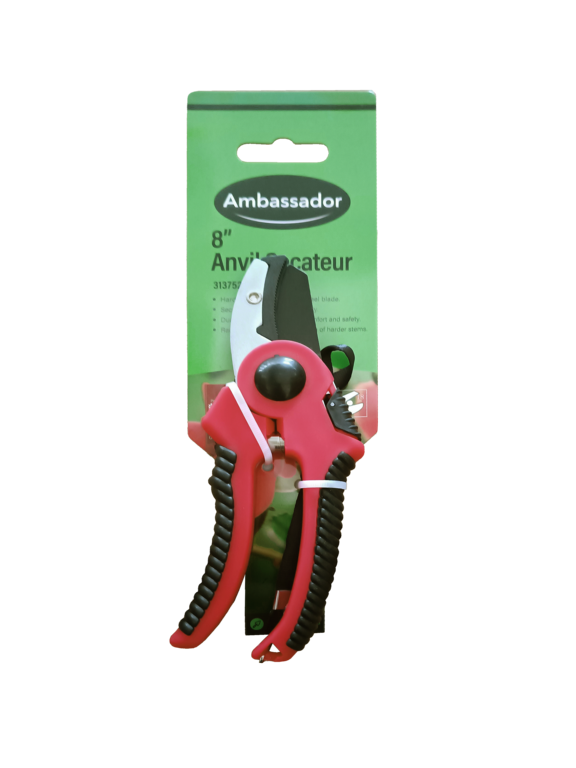 https://www.accesstoretail.com/uploads/partimages/285759_20260923125709_1024.png