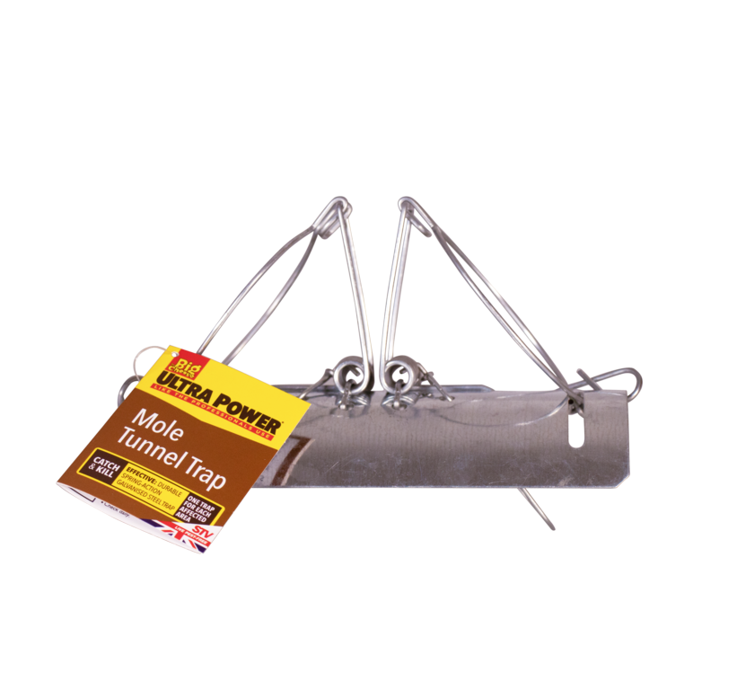 https://www.accesstoretail.com/uploads/partimages/382821_20221207115132_1024.png