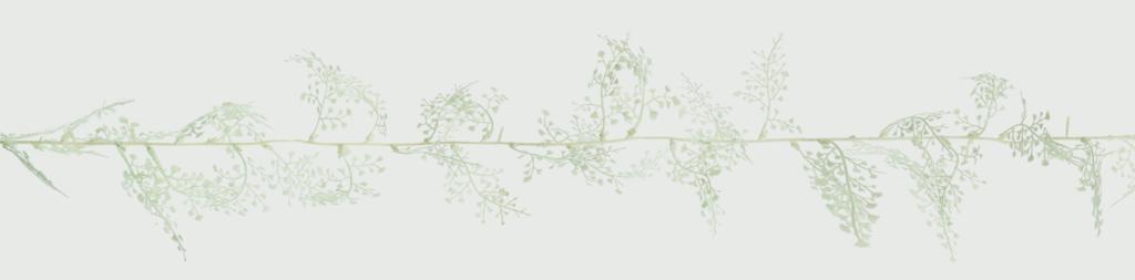 https://www.accesstoretail.com/uploads/partimages/403063_20180712150346_1024.jpg