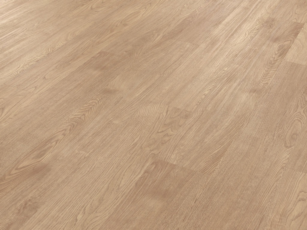 https://www.accesstoretail.com/uploads/partimages/430768_20240124121623_1024.jpeg