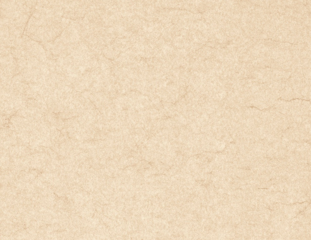 https://www.accesstoretail.com/uploads/partimages/439696_20220325112400_1024.JPG