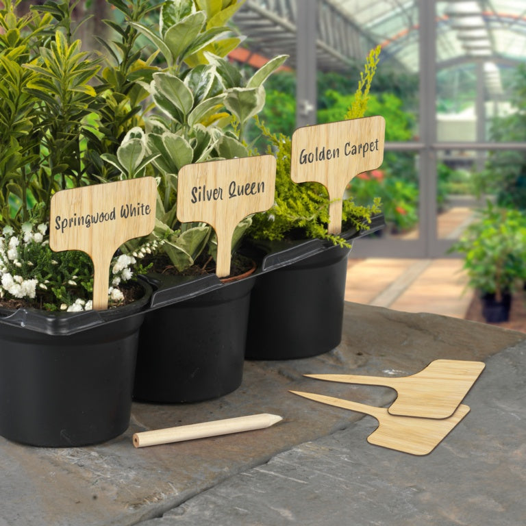 Pack of 10 Ambassador bamboo T shaped plant labels with a free pencil, an eco friendly alternative to plastic garden labels