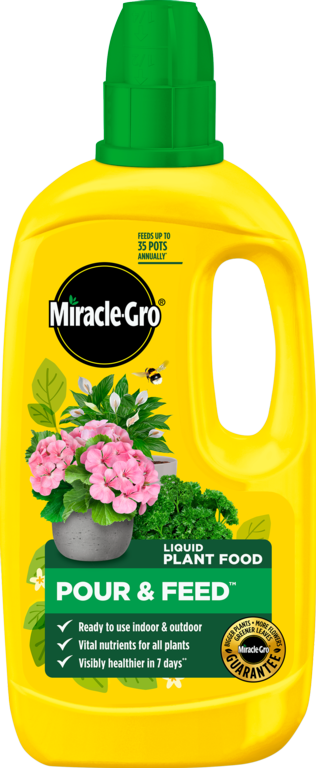 https://www.accesstoretail.com/uploads/partimages/446173_20260217112823_1024.png