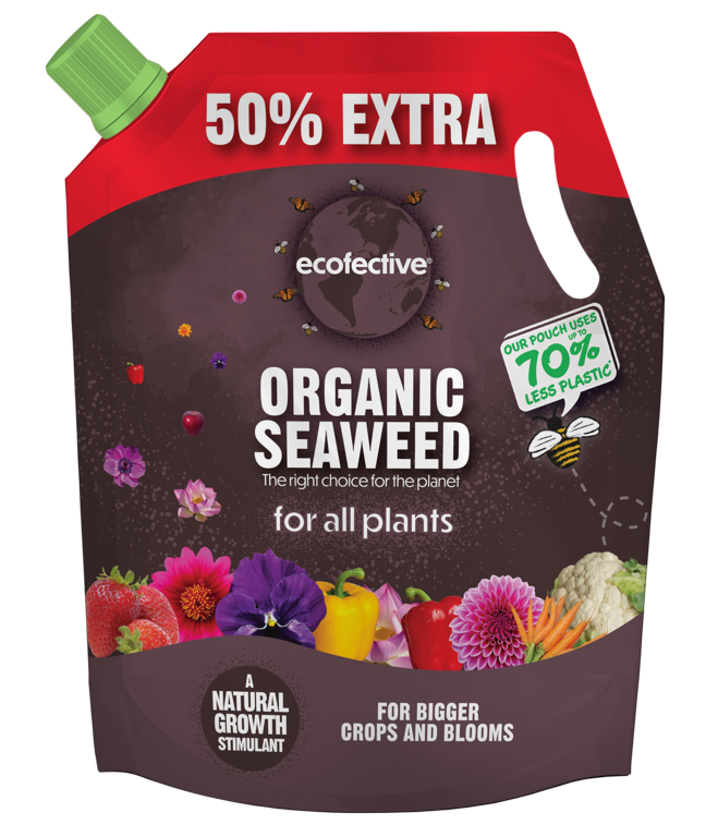 https://www.accesstoretail.com/uploads/partimages/454622_20240312172726_1024.png