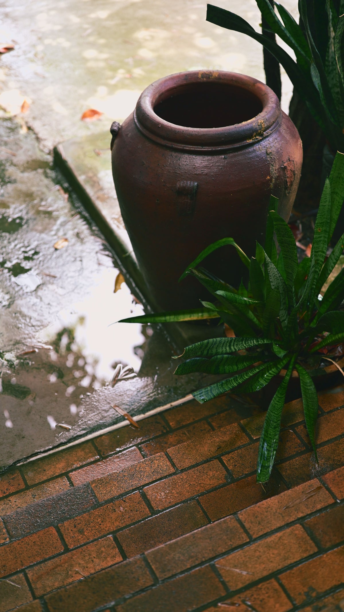 Wet brick garden path glistening after rainfall, illustrating typical UK weather conditions during patio projects