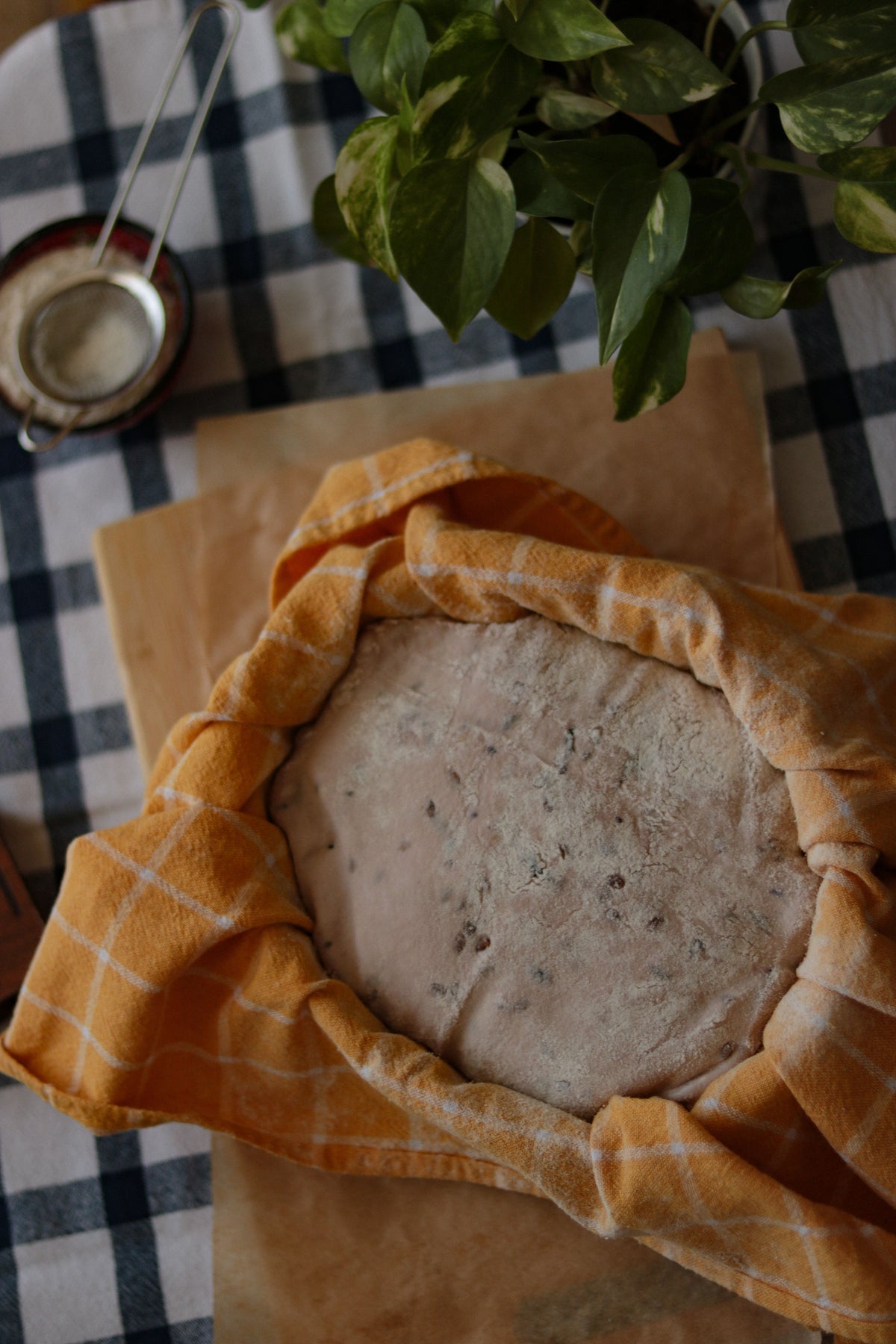 Ball of bread dough resting in a bowl and covered with a folded cotton tea towel to rise