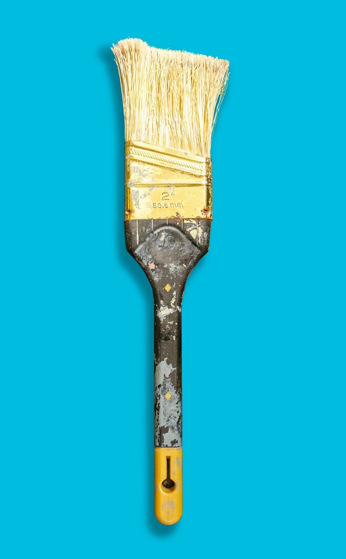 Close up of a paint brush with tapered filament tips, representing the Purdy Monarch Elite, Sprig and Dale ranges