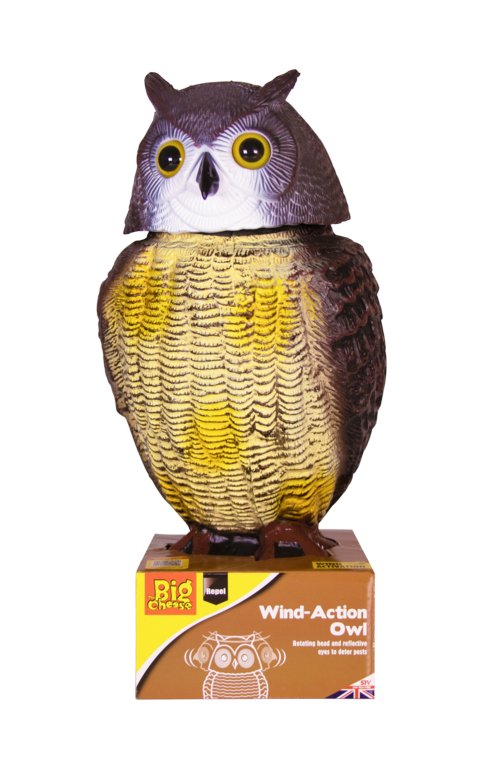 https://www.accesstoretail.com/uploads/partimages/244272_20221129141618_1024.png