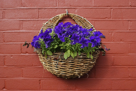 https://www.accesstoretail.com/uploads/partimages/244704_20170131110942_1024.jpg