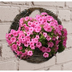 https://www.accesstoretail.com/uploads/partimages/244758_20170131103211_0250.jpg