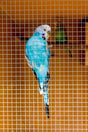 https://www.accesstoretail.com/uploads/partimages/245778_20160315132229_1024.jpg