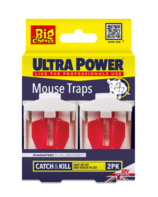 https://www.accesstoretail.com/uploads/partimages/266217_20221130121025_1024.png