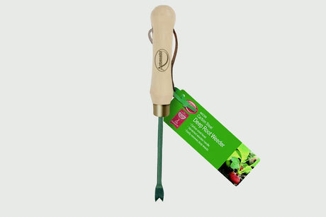 https://www.accesstoretail.com/uploads/partimages/309357_20190107123956_1024.jpg