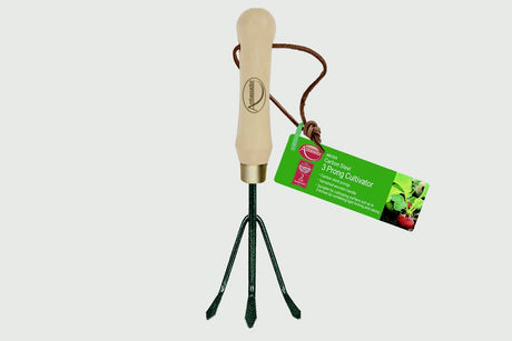 https://www.accesstoretail.com/uploads/partimages/309365_20190107123216_1024.jpg