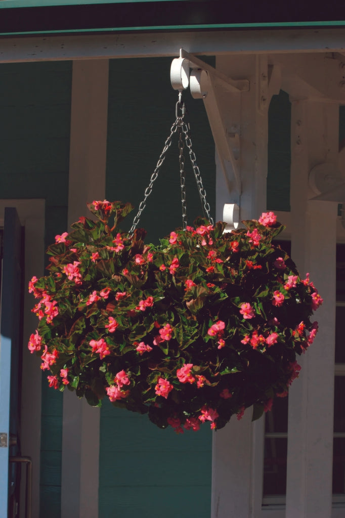 https://www.accesstoretail.com/uploads/partimages/318118%20SGS400%20Swivel%20Hooks_1024.jpg