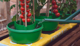 https://www.accesstoretail.com/uploads/partimages/338373%20Plant%20Halos%20Green_1024.jpg