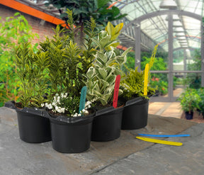 https://www.accesstoretail.com/uploads/partimages/339097_20240403101020_1024.jpg