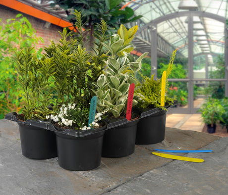 https://www.accesstoretail.com/uploads/partimages/339097_20240403101020_1024.jpg