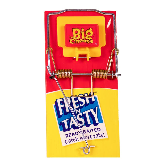 https://www.accesstoretail.com/uploads/partimages/357600_20230105161150_1024.jpg