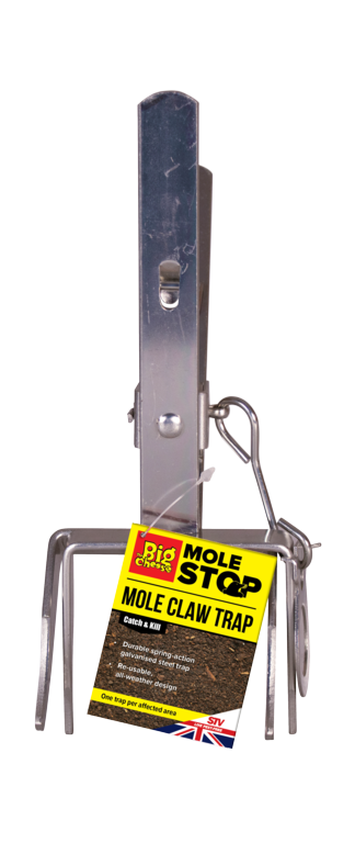 https://www.accesstoretail.com/uploads/partimages/358410_20260330171438_1024.png