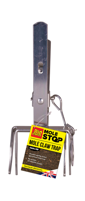 https://www.accesstoretail.com/uploads/partimages/358410_20260330171438_1024.png