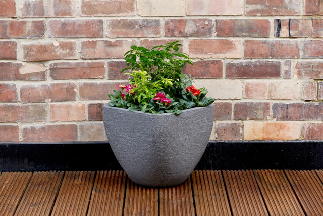 https://www.accesstoretail.com/uploads/partimages/359152_20231115114015_1024.jpg