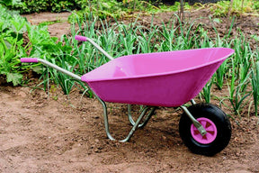 https://www.accesstoretail.com/uploads/partimages/364880_20150918102528_1024.jpg