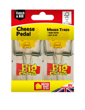 https://www.accesstoretail.com/uploads/partimages/381872_20230105152415_1024.png
