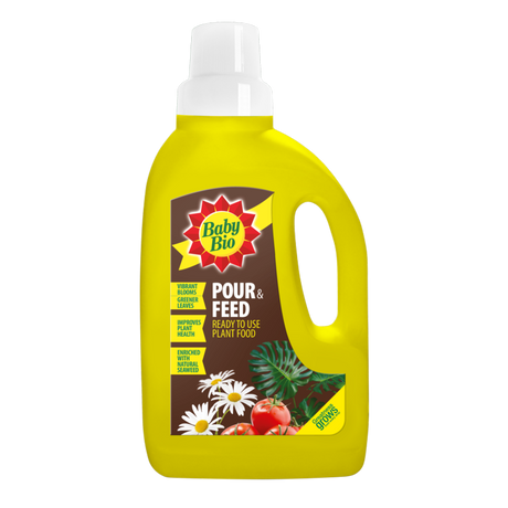 https://www.accesstoretail.com/uploads/partimages/382526_20230619103319_1024.png