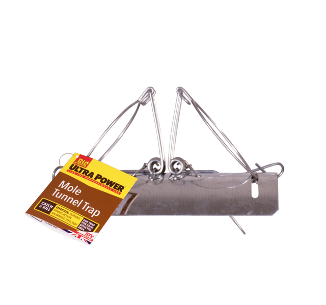 https://www.accesstoretail.com/uploads/partimages/382821_20221207115132_1024.png