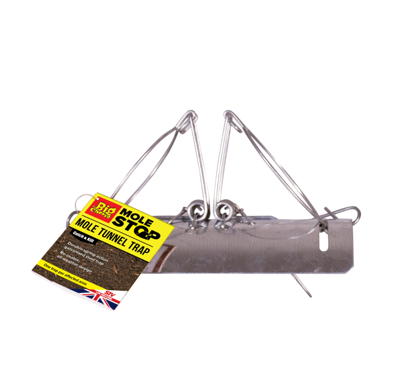https://www.accesstoretail.com/uploads/partimages/382821_20260330171659_1024.png