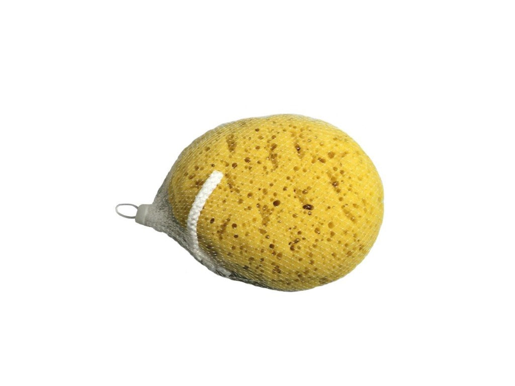 https://www.accesstoretail.com/uploads/partimages/385234_20170413103029_1024.jpg