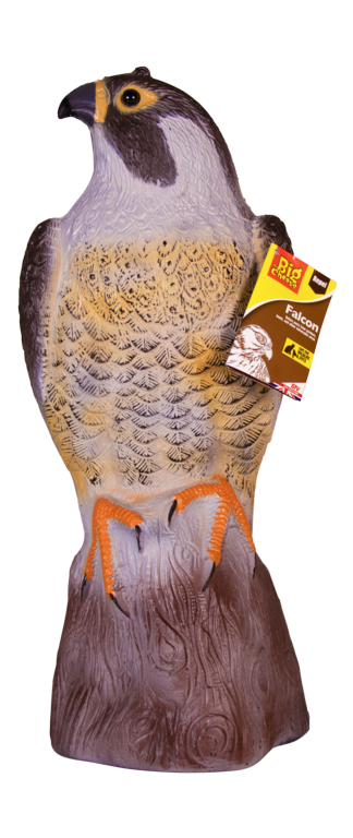 https://www.accesstoretail.com/uploads/partimages/386953_20221129151714_1024.png