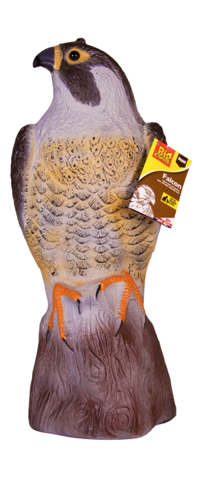 https://www.accesstoretail.com/uploads/partimages/386953_20221129151714_1024.png
