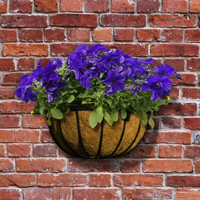 https://www.accesstoretail.com/uploads/partimages/392863_20180208132258_1024.jpg