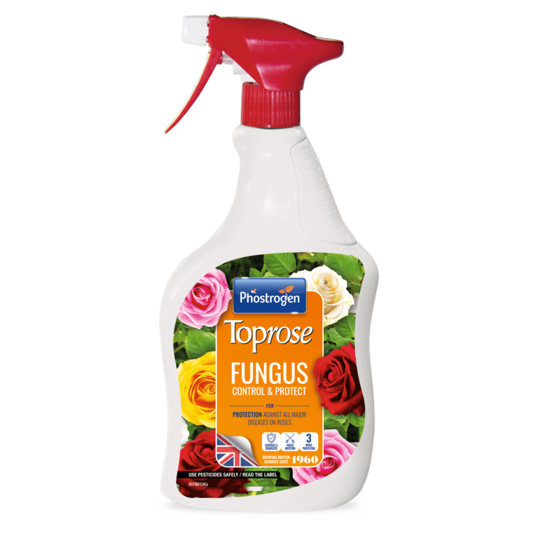https://www.accesstoretail.com/uploads/partimages/395386_20240207133222_1024.png