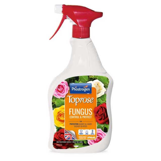 https://www.accesstoretail.com/uploads/partimages/395386_20240207133222_1024.png