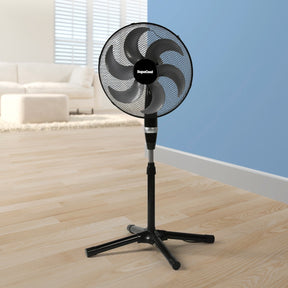 https://www.accesstoretail.com/uploads/partimages/396684_20240521142753_1024.jpg