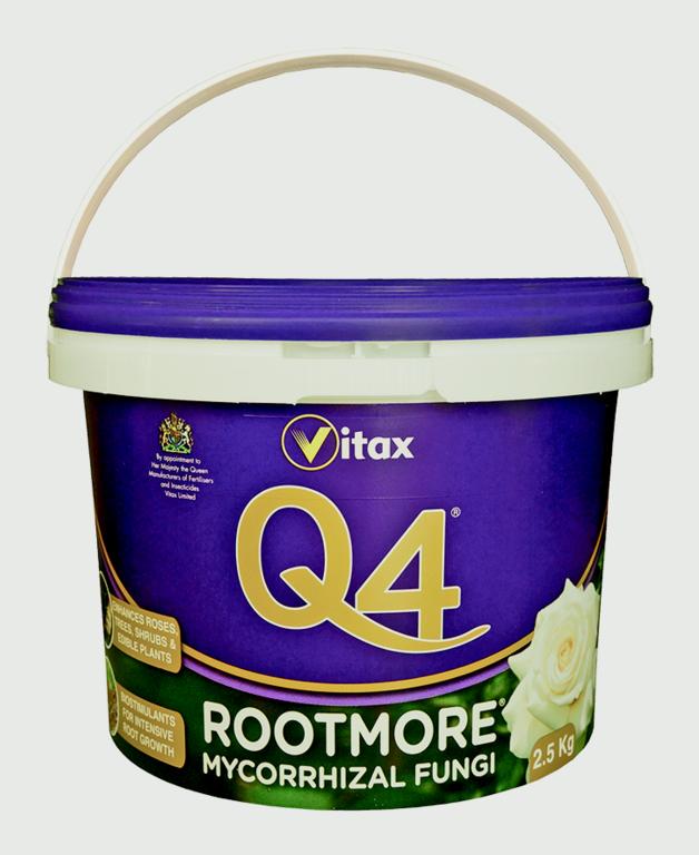 https://www.accesstoretail.com/uploads/partimages/396832_20171106121417_1024.jpg