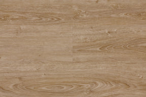 https://www.accesstoretail.com/uploads/partimages/396994_20191202104321_1024.JPG