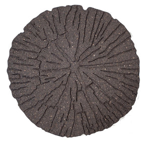 https://www.accesstoretail.com/uploads/partimages/418949_20191016114926_1024.jpg