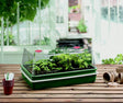 Garland High Dome Electric Propagator XL, a large 24 Watt heated propagator with clear high dome ventilated cover, 59 x 41 x 26.5cm, for seeds and cuttings.