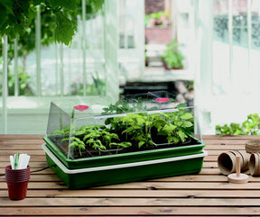 Garland High Dome Electric Propagator XL, a large 24 Watt heated propagator with clear high dome ventilated cover, 59 x 41 x 26.5cm, for seeds and cuttings.