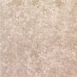 https://www.accesstoretail.com/uploads/partimages/421159_20191121115536_1024.jpg