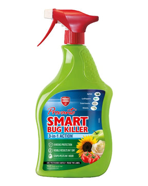 https://www.accesstoretail.com/uploads/partimages/428210_20201125164329_1024.jpg
