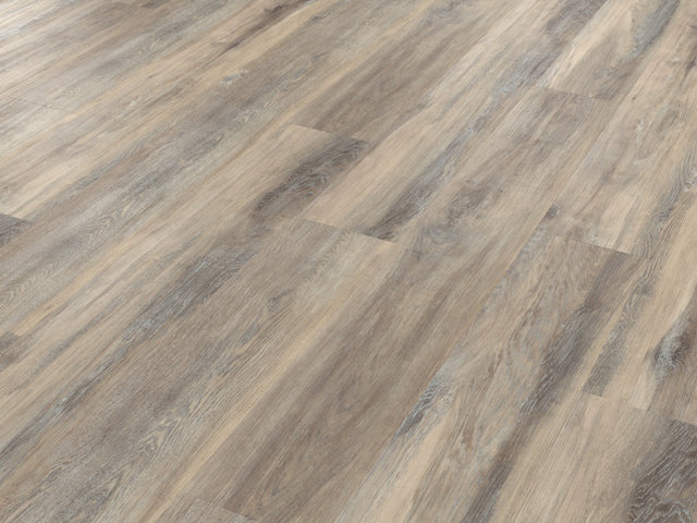 https://www.accesstoretail.com/uploads/partimages/430766_20240124121333_1024.jpeg