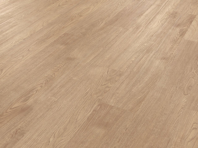 https://www.accesstoretail.com/uploads/partimages/430768_20240124121623_1024.jpeg