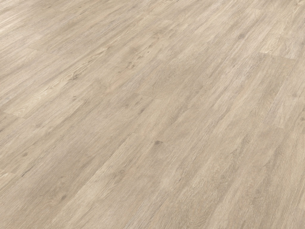https://www.accesstoretail.com/uploads/partimages/430772_20240124120827_1024.jpeg