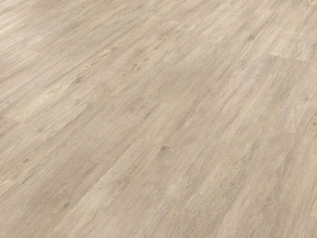 https://www.accesstoretail.com/uploads/partimages/430772_20240124120827_1024.jpeg
